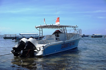バリ島_GT釣り_海外釣り専門旅行会社ビックトラウト