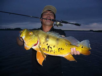 マレーシアピーコックバスフィッシングツアー！海外釣りの専門店