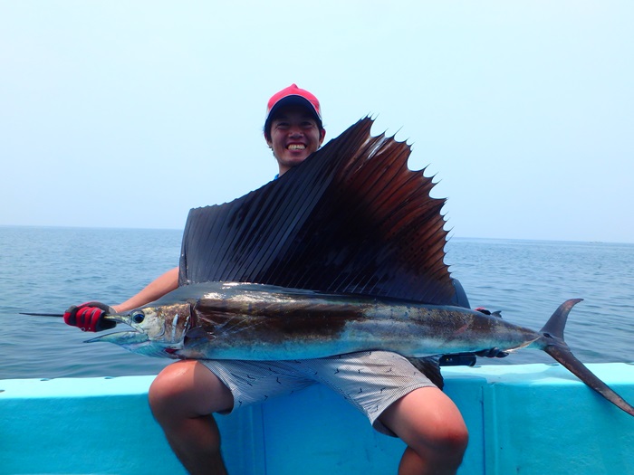 2015NsZCtBbVނ艓_ccA[_COނ嗷sЃrbNgEg