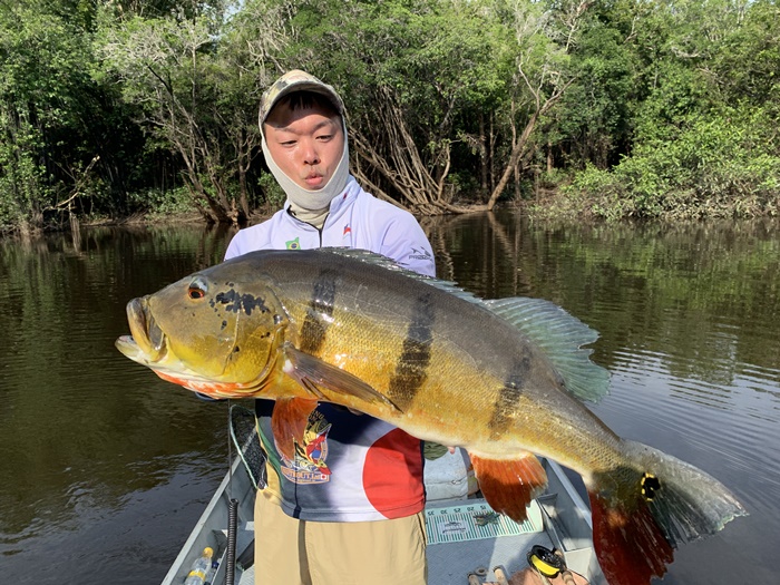 2025N10uWA}]ނ艓_COނ嗷sЃrbNgEg