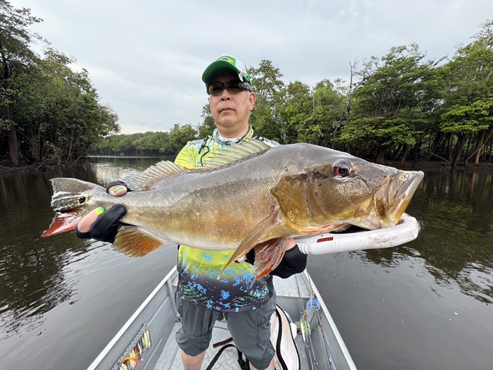 2025N10uWA}]ނ艓_COނ嗷sЃrbNgEg