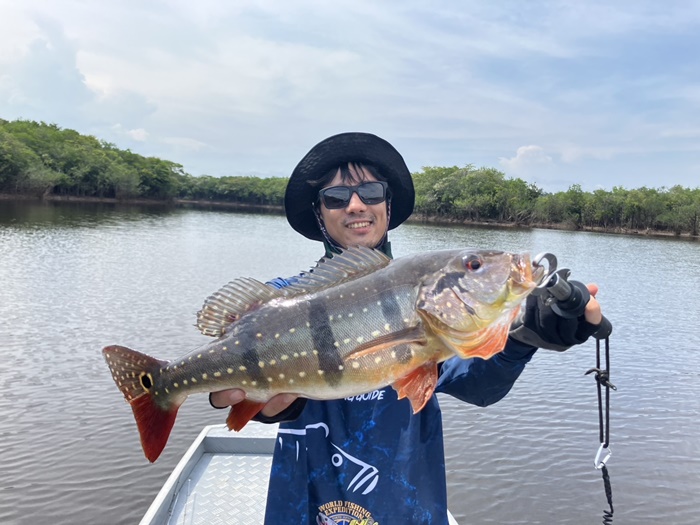 2025N10uWA}]ނ艓_COނ嗷sЃrbNgEg