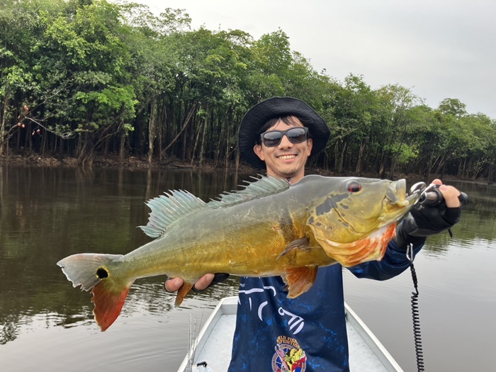 2025N10uWA}]ނ艓_COނ嗷sЃrbNgEg