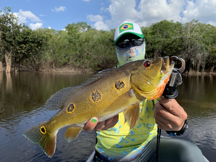 2025N10uWA}]ނ艓_COނ嗷sЃrbNgEg