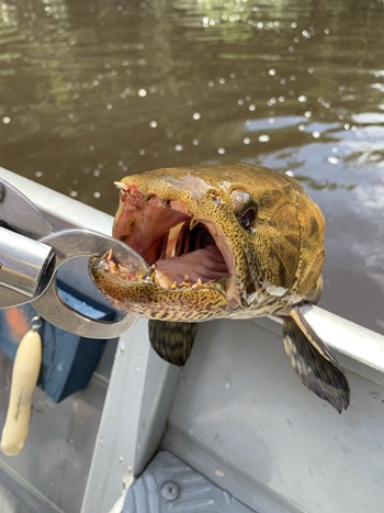 2025N10uWA}]ނ艓_COނ嗷sЃrbNgEg