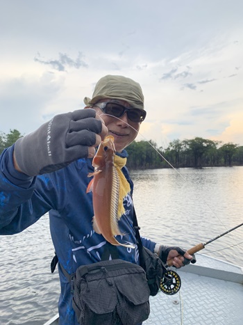 2025N10uWA}]ނ艓_COނ嗷sЃrbNgEg