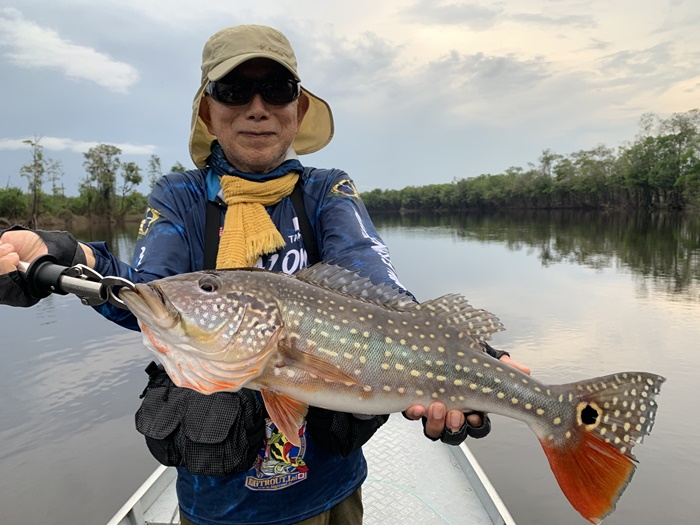 2025N10uWA}]ނ艓_COނ嗷sЃrbNgEg