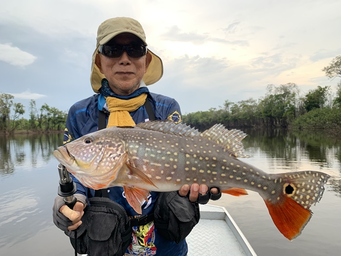 2025N10uWA}]ނ艓_COނ嗷sЃrbNgEg