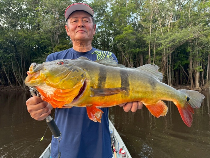 2025N10uWA}]ނ艓_COނ嗷sЃrbNgEg