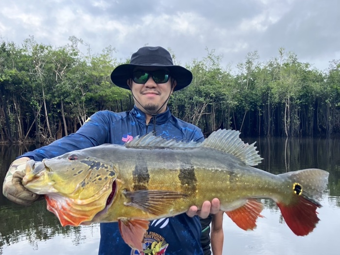 2025N10uWA}]ނ艓_COނ嗷sЃrbNgEg