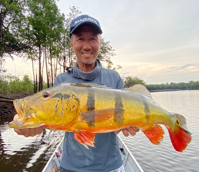 2025N10uWA}]ނ艓_COނ嗷sЃrbNgEg