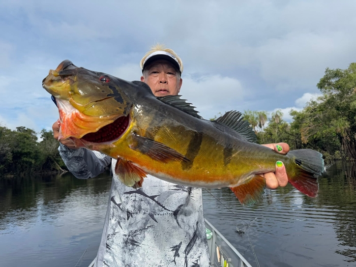 2025N10uWA}]ނ艓_COނ嗷sЃrbNgEg