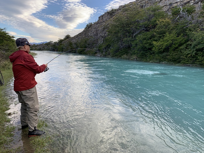 2026�N2���p�^�S�j�A�L���O�T�[�����ނ艓��_�C�O�ނ��嗷�s��Ѓr�b�N�g���E�g