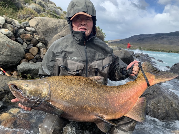 2026�N2���p�^�S�j�A�L���O�T�[�����ނ艓��_�C�O�ނ��嗷�s��Ѓr�b�N�g���E�g