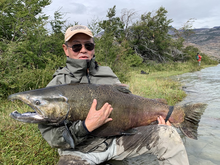 2026�N2���p�^�S�j�A�L���O�T�[�����ނ艓��_�C�O�ނ��嗷�s��Ѓr�b�N�g���E�g