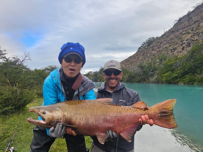 2026�N2���p�^�S�j�A�L���O�T�[�����ނ艓��_�C�O�ނ��嗷�s��Ѓr�b�N�g���E�g