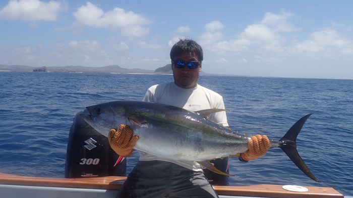 ガラパゴス釣り_ツナ_ポッパー_トップ_海外釣り専門旅行会社ビックトラウト